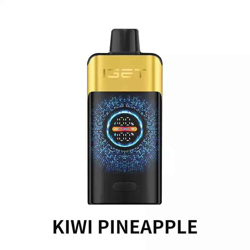 IGET One - Image 5